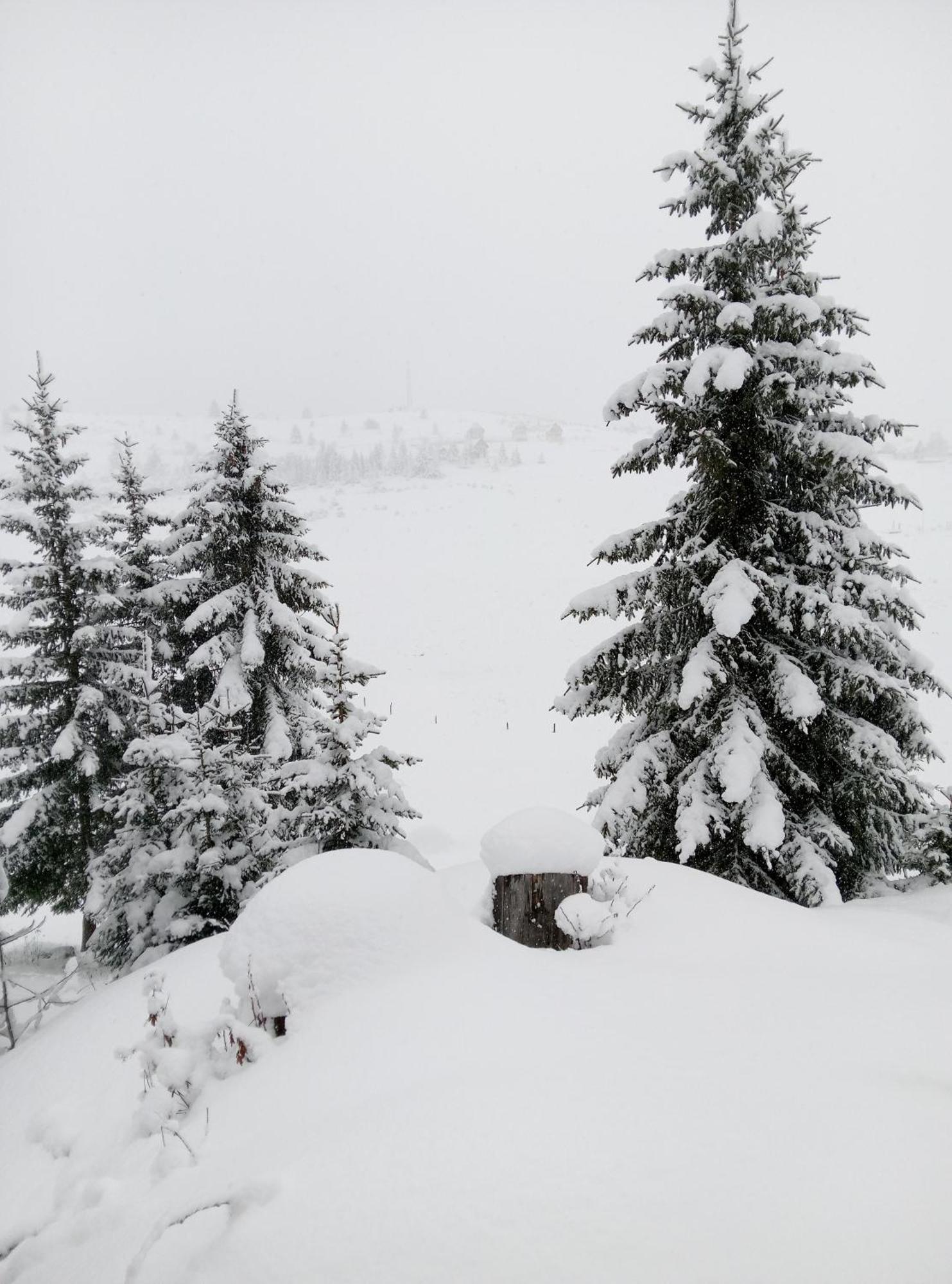 شقة Durmitor جابلياك المظهر الخارجي الصورة