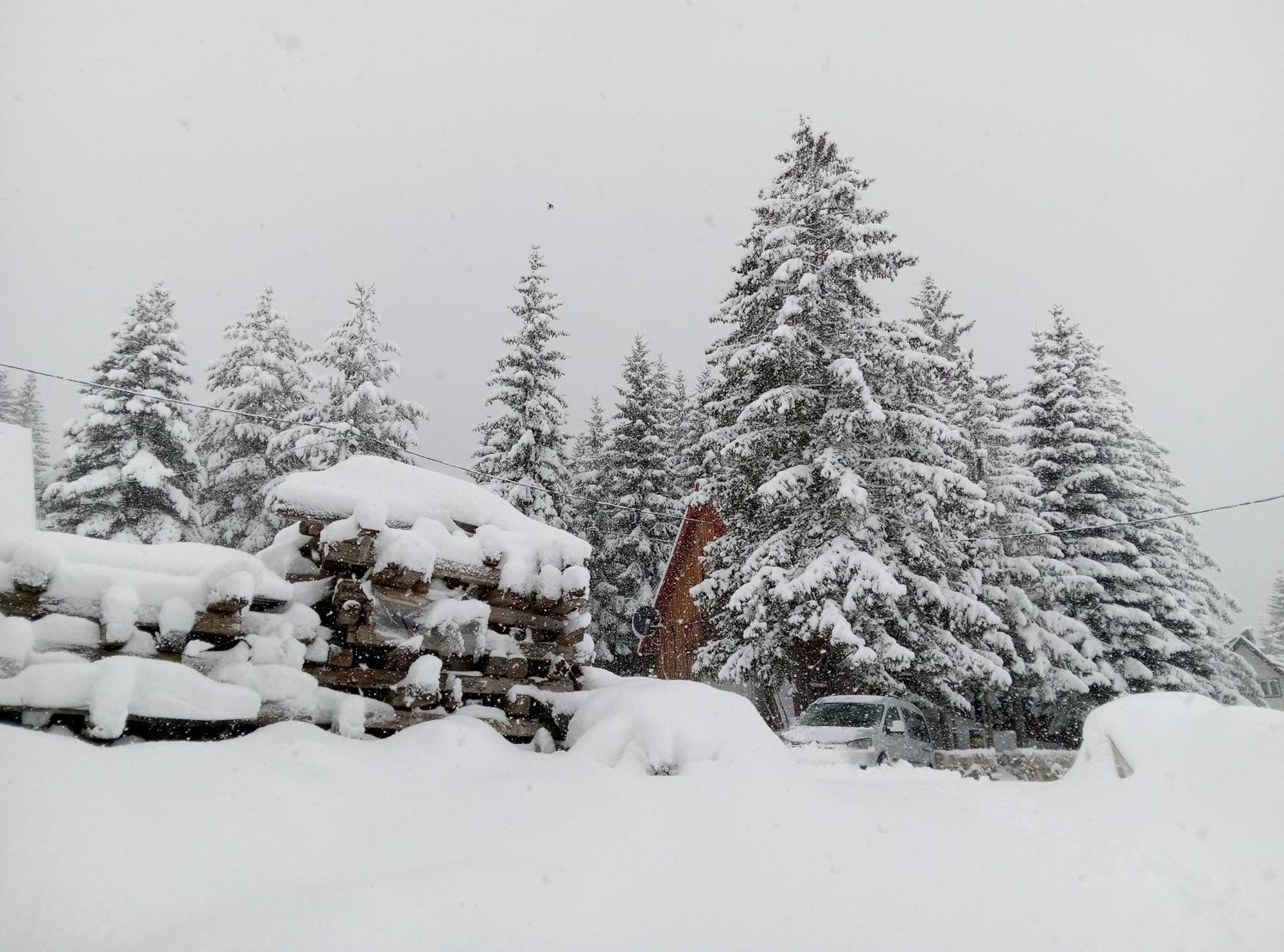 شقة Durmitor جابلياك المظهر الخارجي الصورة